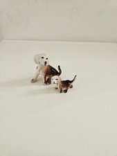 beagle pet for sale  SAFFRON WALDEN