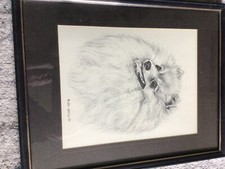 Pomeranian dog for sale  Elyria
