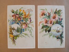 Cromolitografie 1890 fiori usato  Vertemate con Minoprio