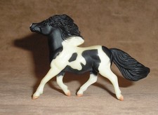black white pinto pony for sale black white pinto pony for sale Phoenix