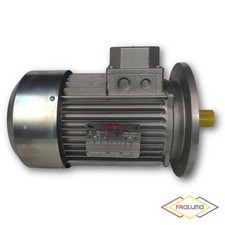 Bonani motore elettrico usato  Piedimulera