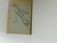 Bunte glase aquarium gebraucht kaufen  Berlin