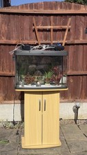 Tropical fish tank for sale  DONCASTER