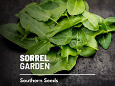 Sorrel garden 200 for sale  Frisco