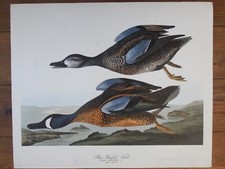 John james audubon for sale  YORK