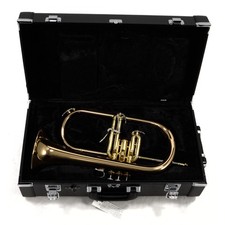 Yamaha model yfh for sale  Redmond