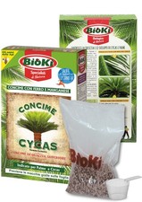 Concime per cycas usato  Villa Celiera