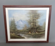 Vintage scenic mountains for sale  BEDLINGTON