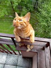 Używany, siatka dla kota na balkon okno przed ptaki, ptakom na sprzedaż  PL