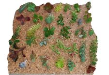 Unrooted sedum cuttings for sale  WOLVERHAMPTON