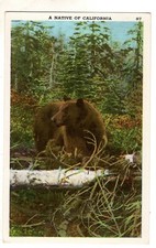 Native california brown for sale  Thornton