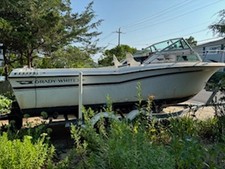 white grady 22 for sale white grady 22 for sale Amityville