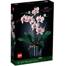 Orchidea usato  Italia
