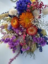 Dried flower orange for sale  DONCASTER