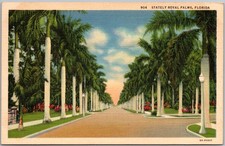 Cartão postal vintage de linho Royal Palm Tree forrado Avenue Florida década de 1940, usado comprar usado  Enviando para Brazil