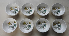 Villeroy boch botanica for sale  Beech Grove