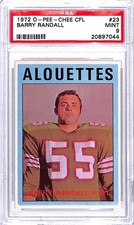 1972 pee chee for sale  Andover