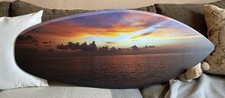 Surfboard wanddeko gebraucht kaufen  Sanitz