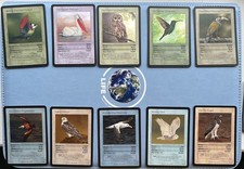 Life tgc birds for sale  SLEAFORD