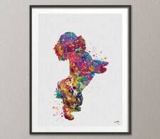 Poster bichon frise usato  Spedire a Italy