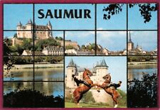 Saumur château église d'occasion  France