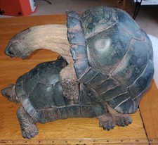 Naughty mating tortoises for sale  LIVERPOOL