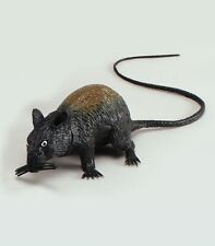 Black rat squeak for sale  UK