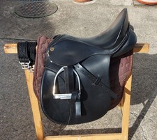 Sommer pony dressur gebraucht kaufen  Niederstetten