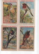 Chromo lot oiseaux d'occasion Chromo lot oiseaux d'occasion  Louviers