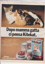 Kitekat cibo per usato  Trieste