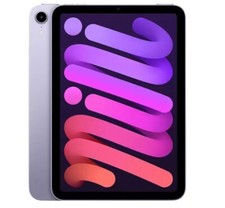 Ipad mini 64gb gebraucht kaufen  Hameln