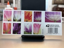 Nova Folha de 20 USPS "Tulip Blossoms 2022 Series - ESTADO PERFEITO FV $15.60 FOREVER, usado comprar usado  Enviando para Brazil