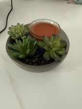 Scentsy aromatherapy wax for sale  STANLEY
