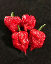 Seeds naga viper for sale  Spring City