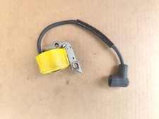 Bobina elettronica motosega usato  Parma