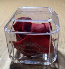 Eternal petals 100 for sale  DAGENHAM