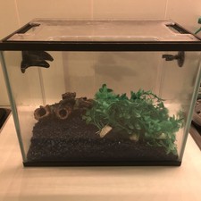 Love fish panorama for sale  TUNBRIDGE WELLS