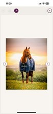 Amigo horseware insulator gebraucht kaufen  Hamburg
