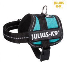 Julius harnais idc d'occasion  Chambéry