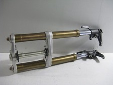 Triumph daytona 675 gebraucht kaufen  Fuldatal