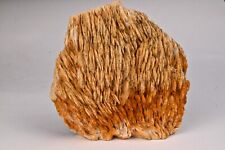 Baryte usclas bosc d'occasion  Forcalquier
