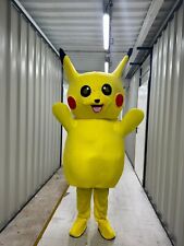 Déguisement pikachu jamais d'occasion  Grenoble-