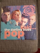 Darling buds pop for sale  WARRINGTON