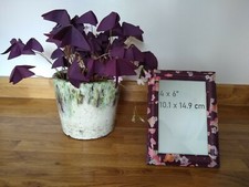 Dark purple decopatch for sale  DIDCOT
