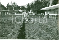 1965 lecco motozappa usato  Milano