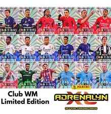 Panini fifa club gebraucht kaufen  Börßum