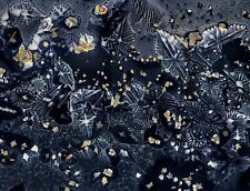 Corrediça de microscópio para luz polarizada, hidrogênio potássio ftalato comprar usado Corrediça de microscópio para luz polarizada, hidrogênio potássio ftalato comprar usado  Enviando para Brazil