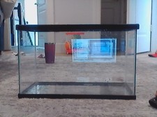 Fish tank for sale  Phoenixville