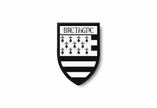 Patch ecusson termocollant usato  Spedire a Italy