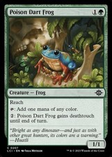 Poison dart frog for sale  CANTERBURY